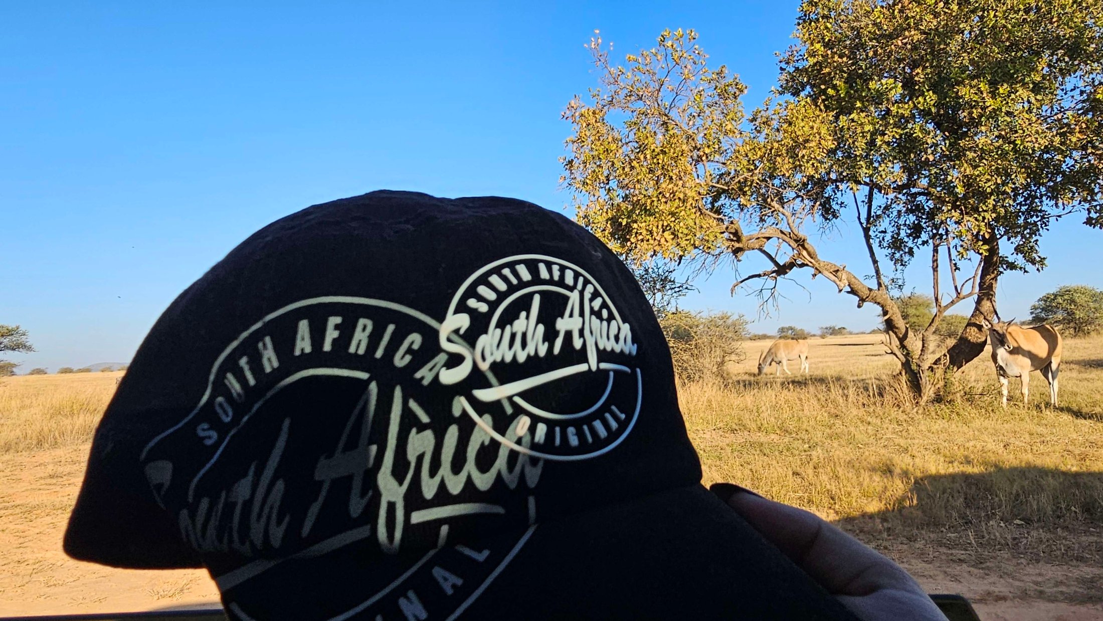 Traveller in Robin Ruth gear in South Africa